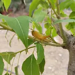 Σπίτι διακοπών La Perdiz De Molinca Villanueva De Algaidas