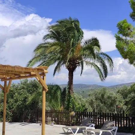 La Perdiz De Molinca