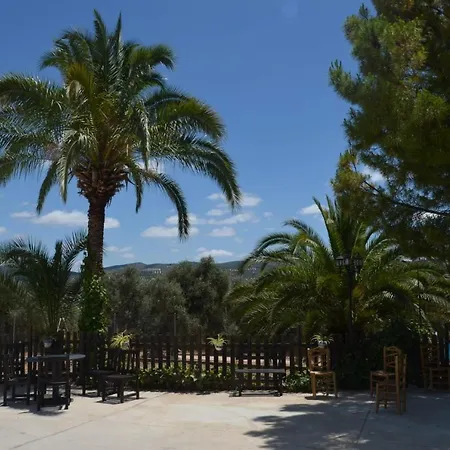 La Perdiz De Molinca
