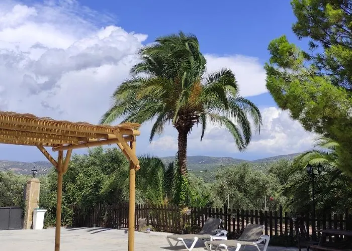 La Perdiz De Molinca